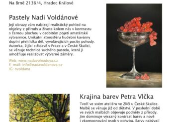 Pastely N. Voldánové & Krajina barev P. Vlčka